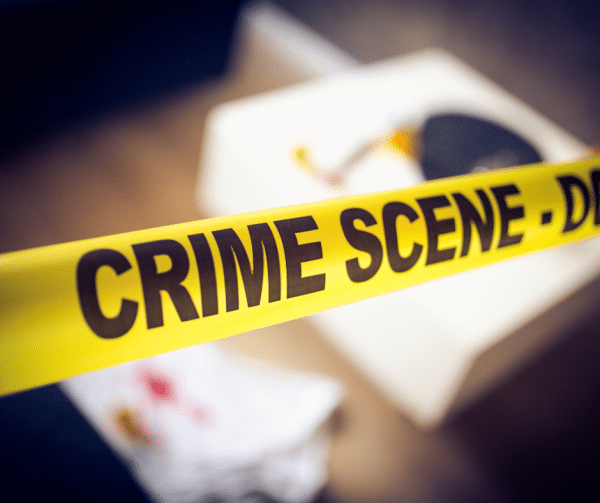 murder party bordeaux